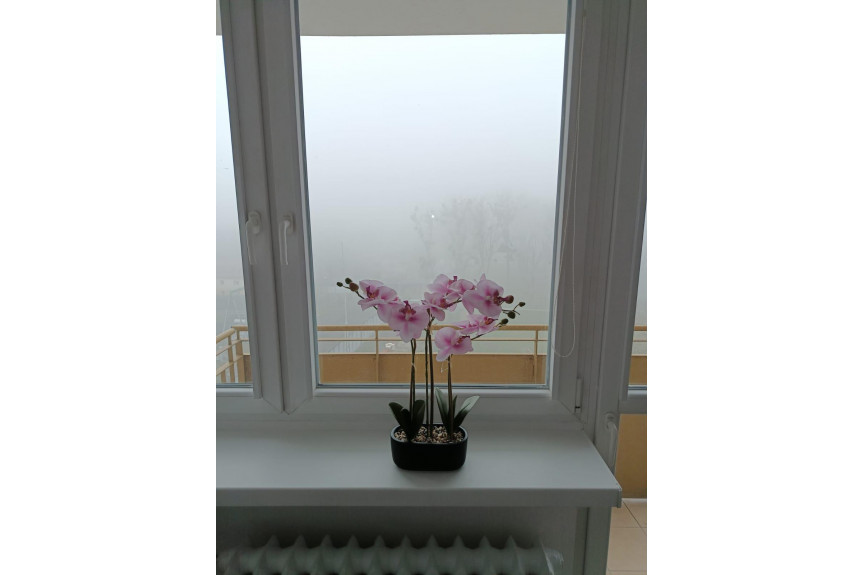 Opole, Mieszkanie po remoncie !!! słoneczne 2 pokojowe